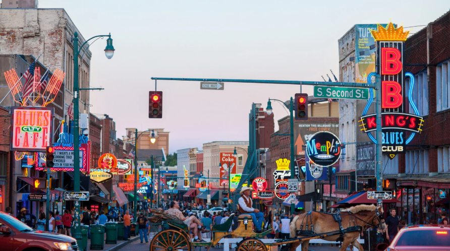 The Timeless Traveler tweet media