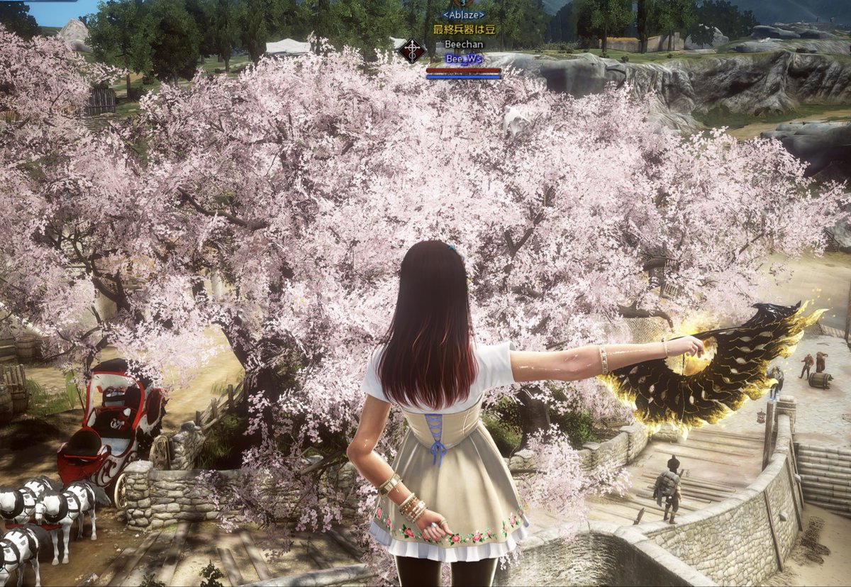 び〜ちゃω tweet media