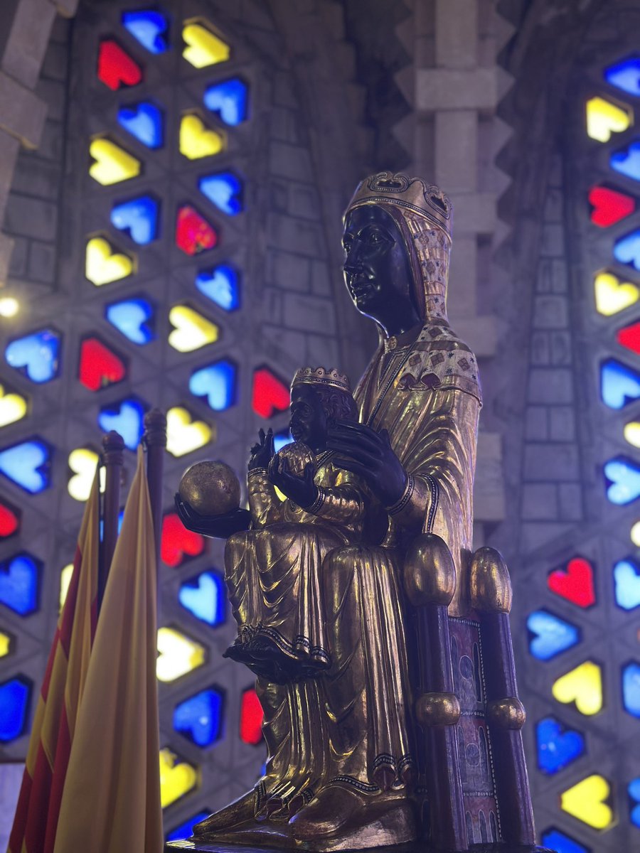 Miquel Caimary ⚡️ tweet media