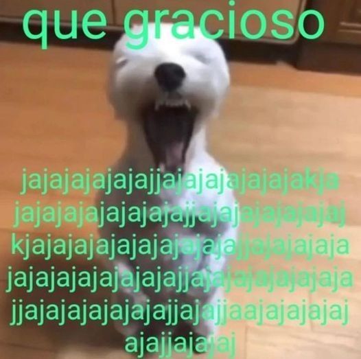 Pirri🧀 tweet media