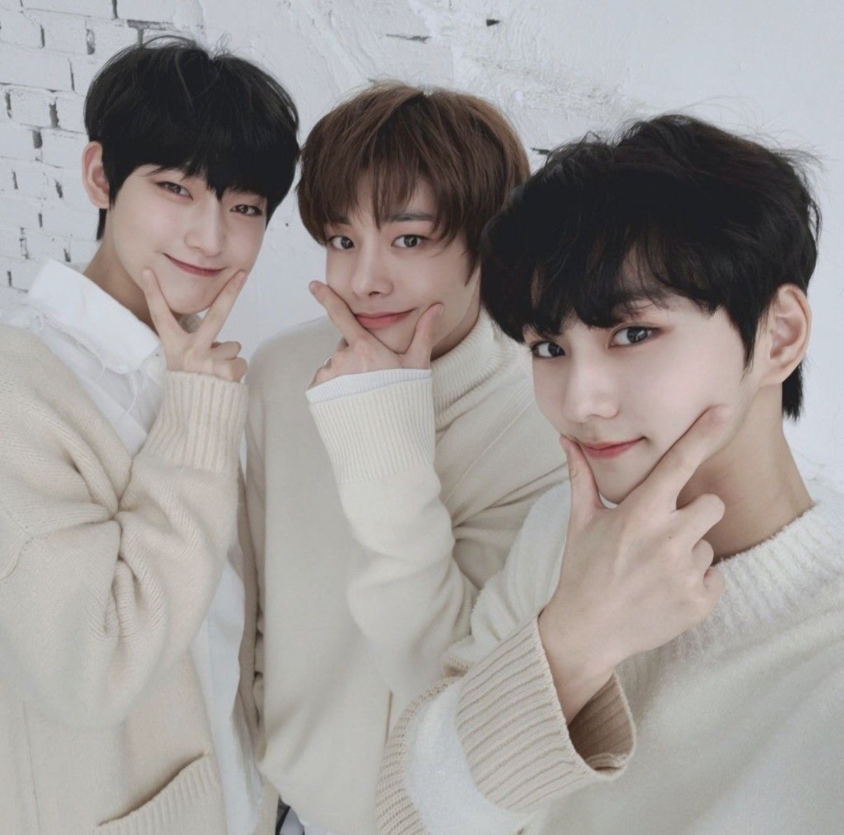 수둥이 tweet media