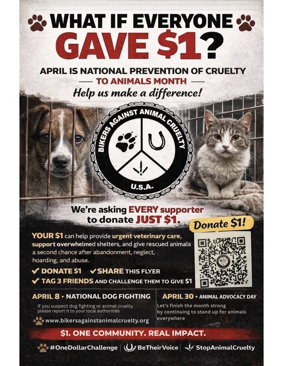 Roger dorp tweet media