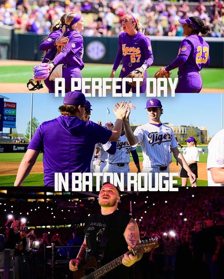 LSU Tigers tweet media