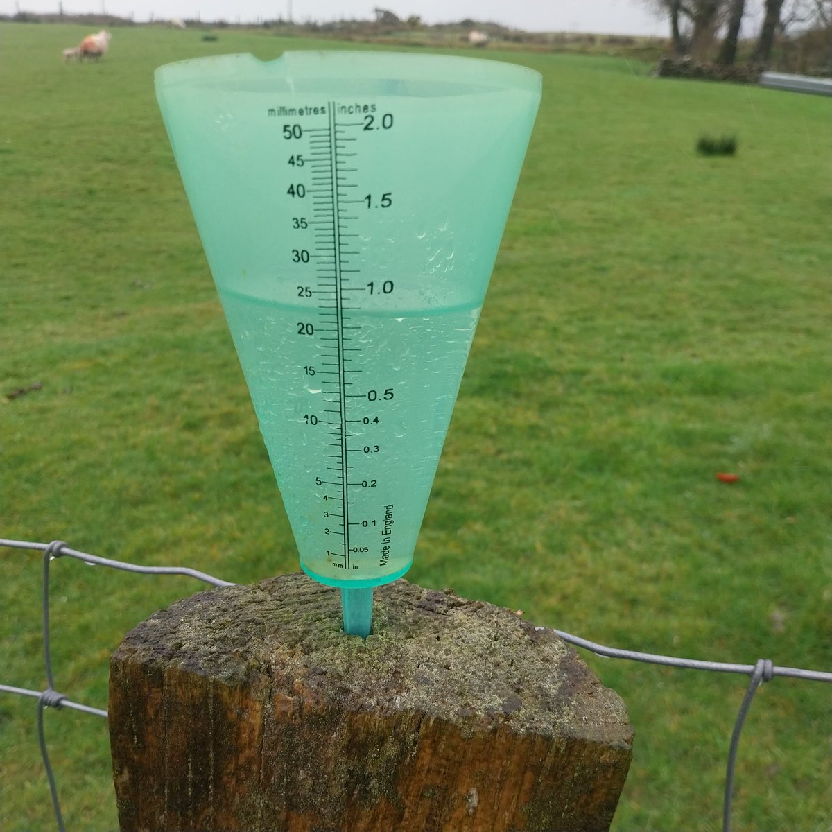 Michael Hennessy tweet media