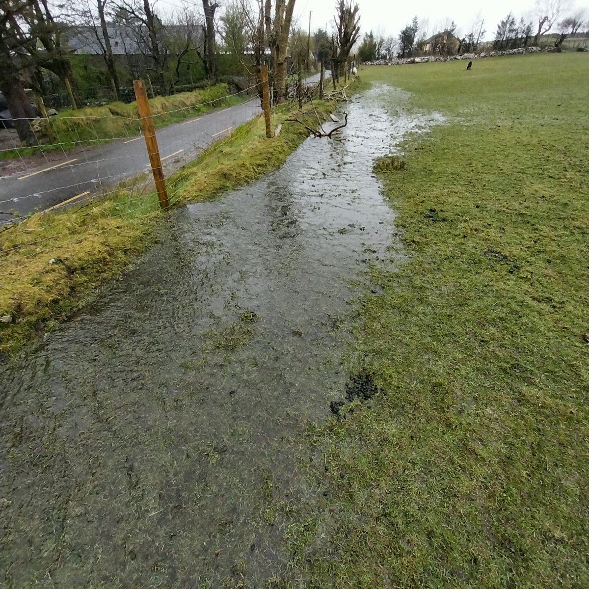 Michael Hennessy tweet media