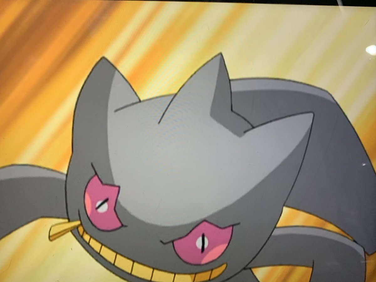 AOI@S.T.R.G(すとらぐ!) tweet media