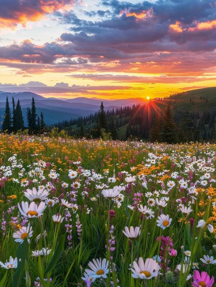 𒈙 Jack 𒈙 tweet media