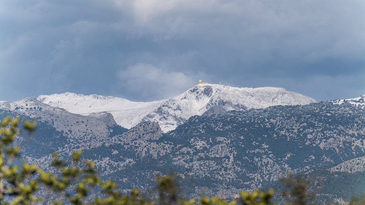 El temps IB3 tweet media