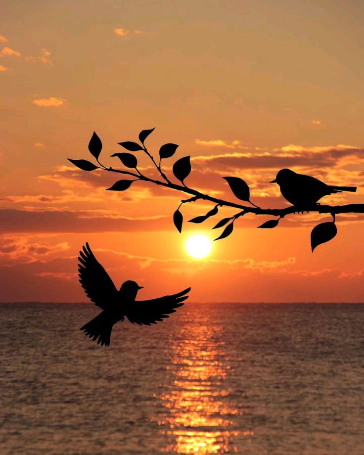 Kutsal Çakıroğlu tweet media