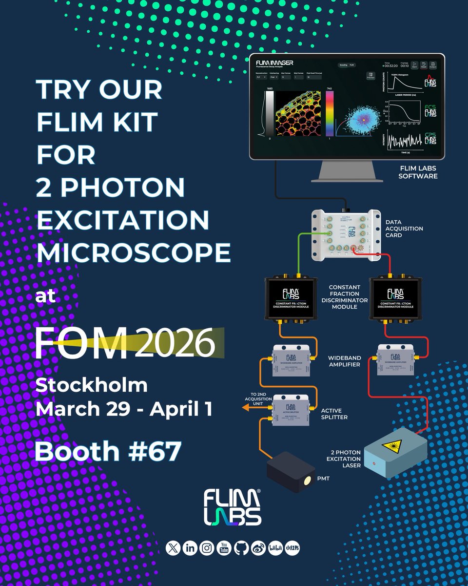 FLIM LABS tweet media