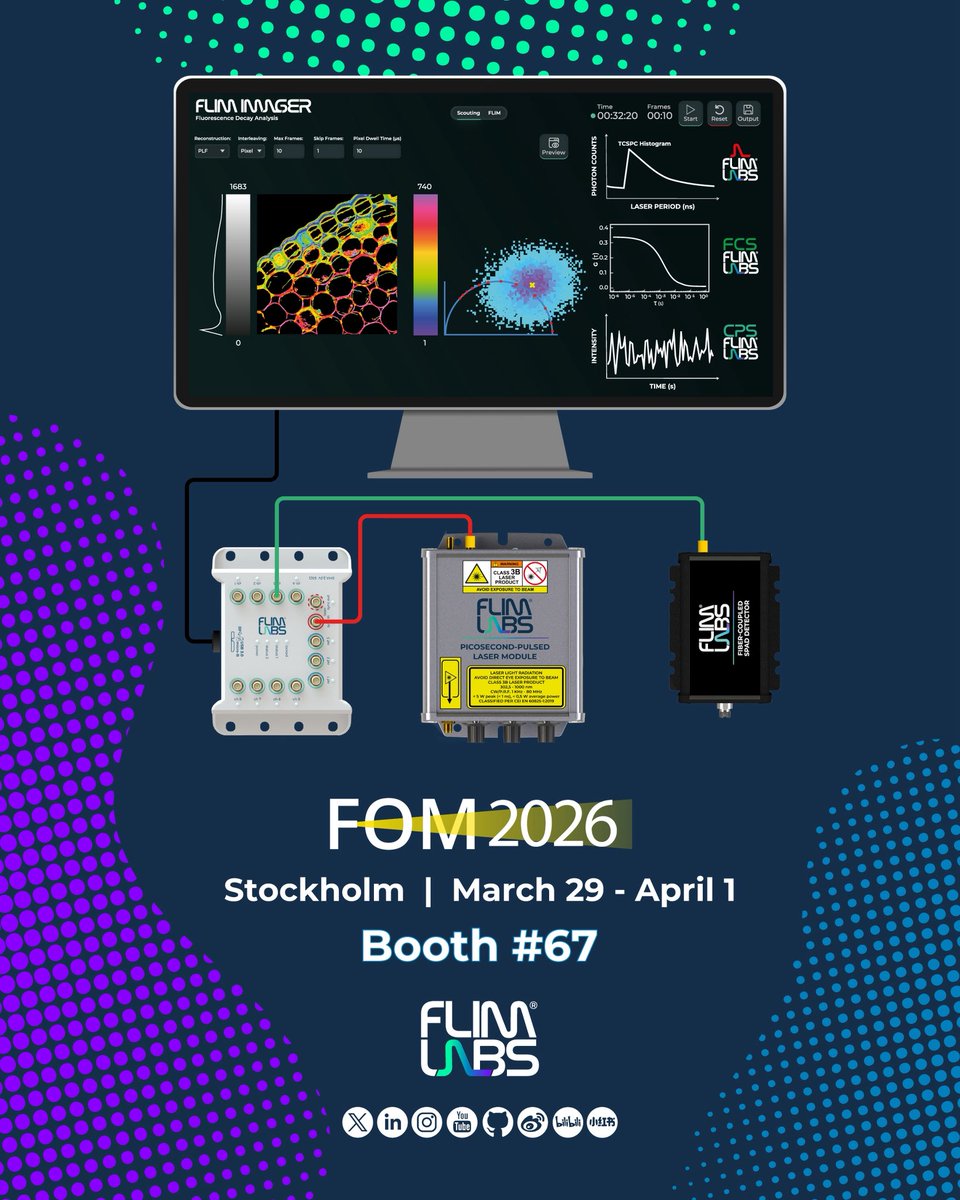 FLIM LABS tweet media