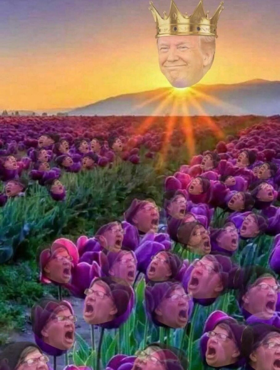 Sandy Sheehan tweet media