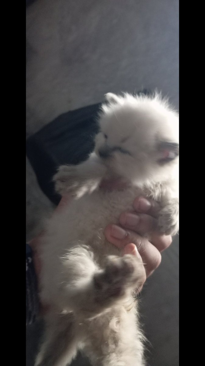 waterfall tweet media