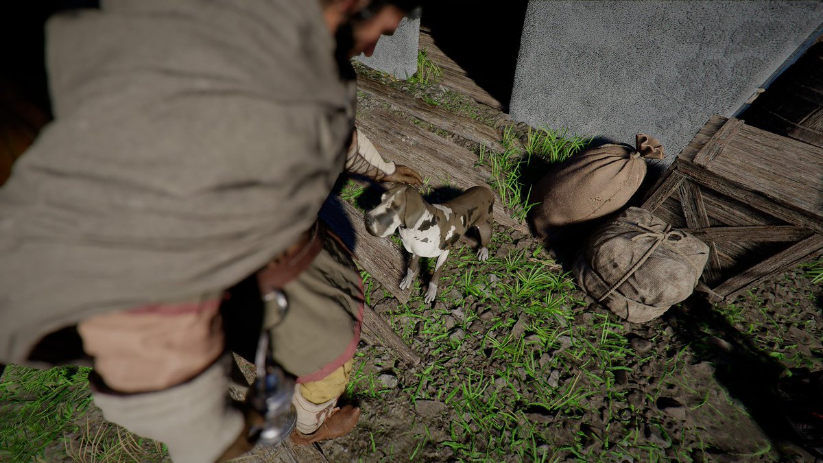 ジョン♻️ tweet media