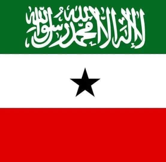 Queen 🇩🇪🇮🇱 tweet media