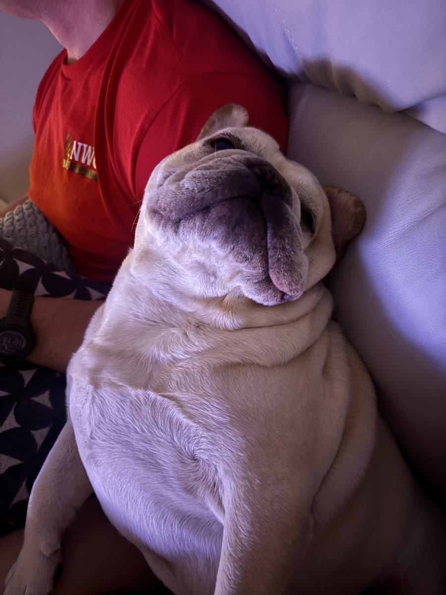 Ponyboy Curtis tweet media