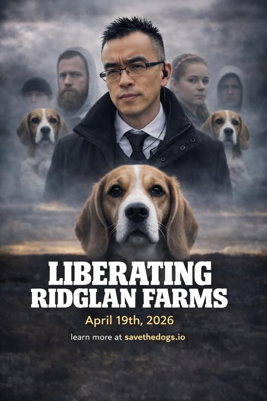 Beagle Lovers And Rescuers Inc. tweet media