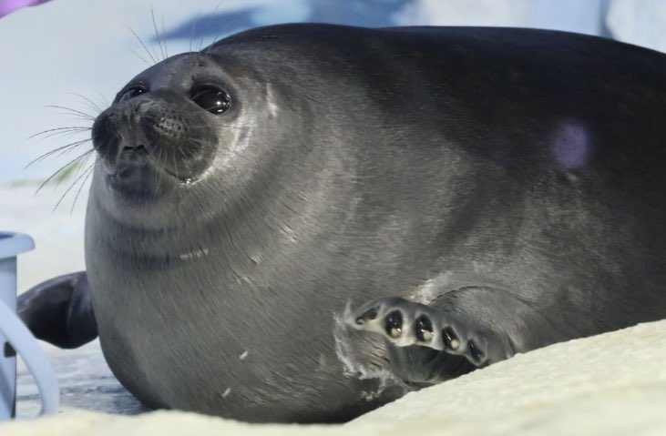 🦠 average bacterium 🧫 tweet media