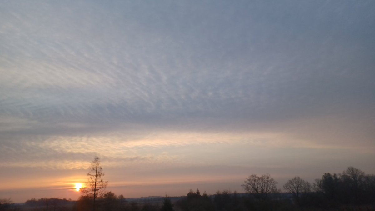 ZBIGNIEW Podorski tweet media