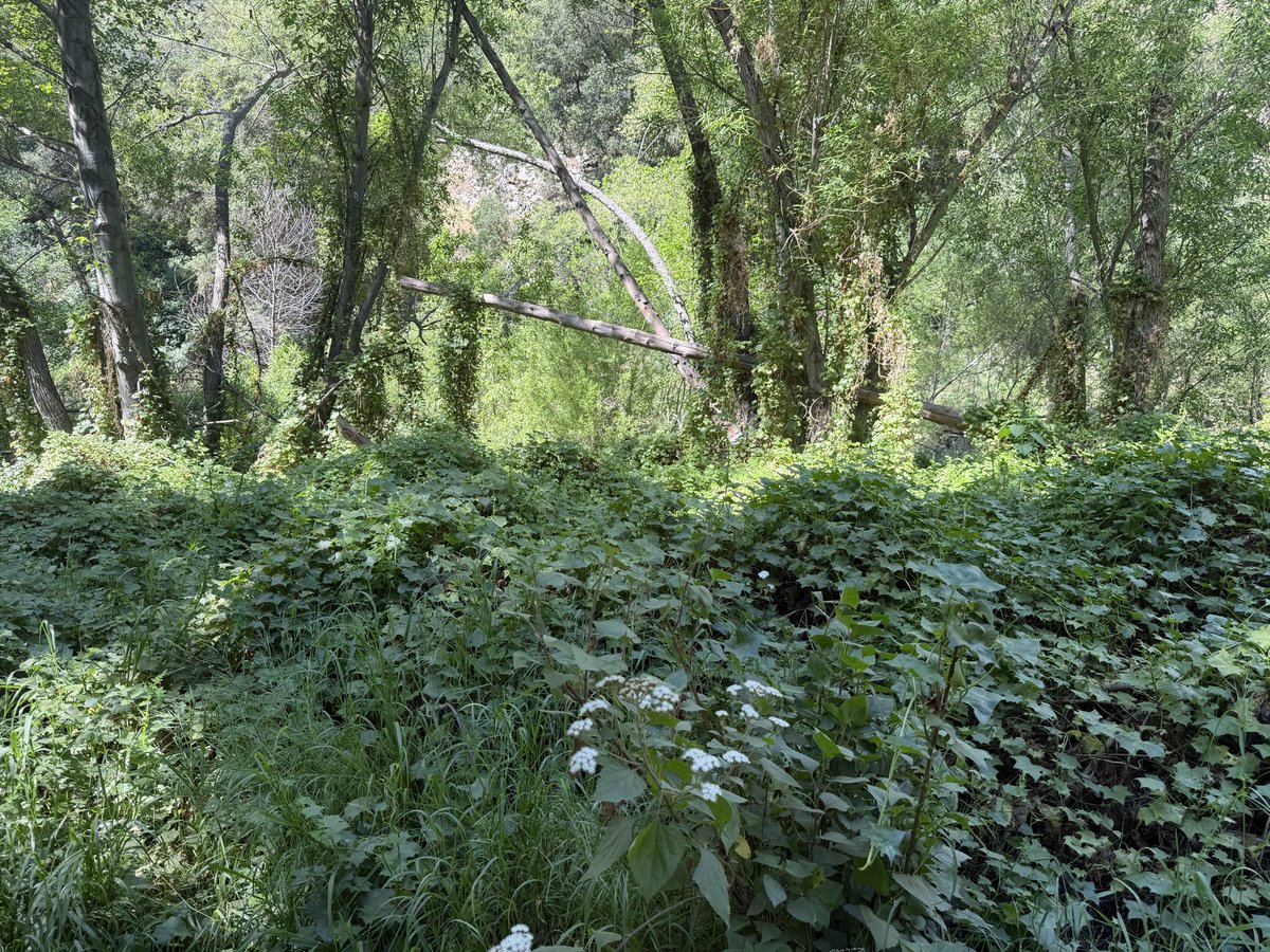 Leah Berman tweet media