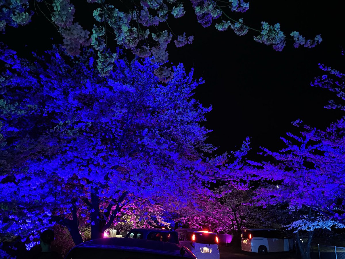 PuddingToofu tweet media