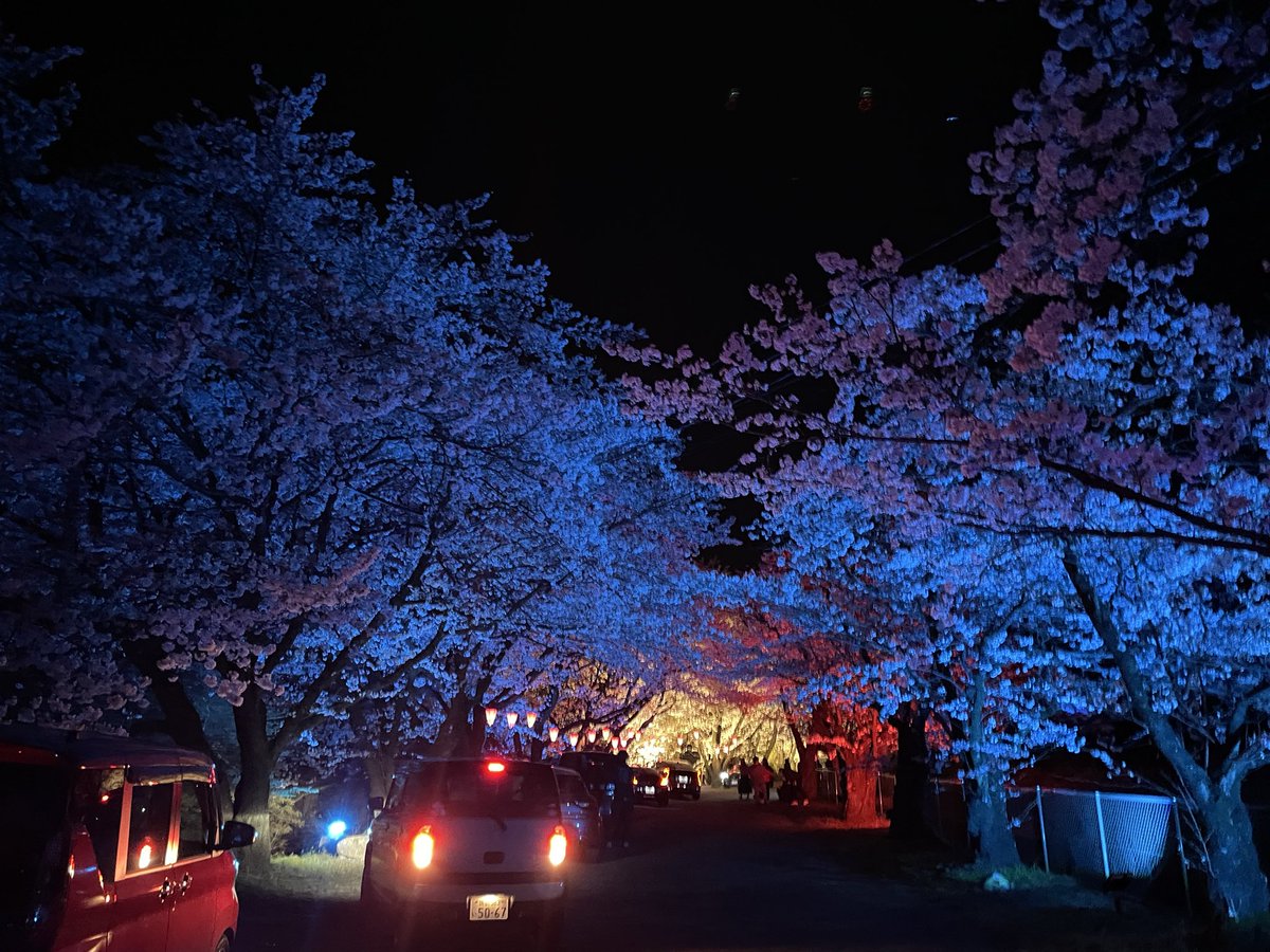 PuddingToofu tweet media