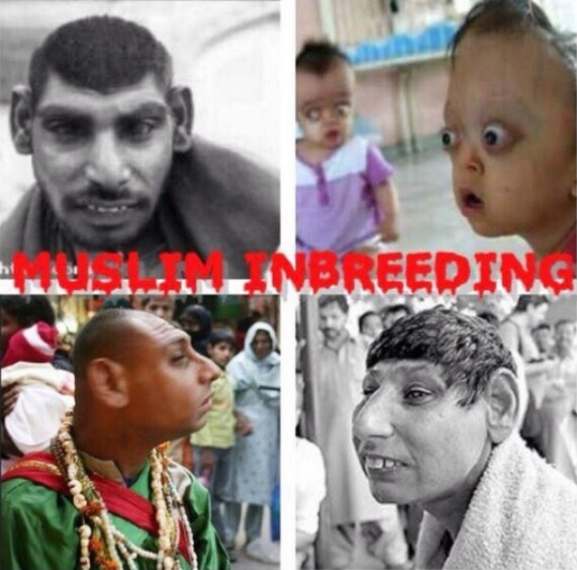 Bev&Jake In Pittsburgh tweet media