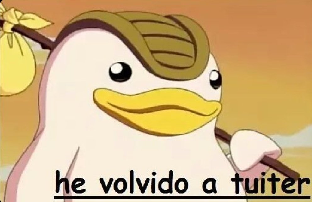 Frases de Javier Burrai tweet media