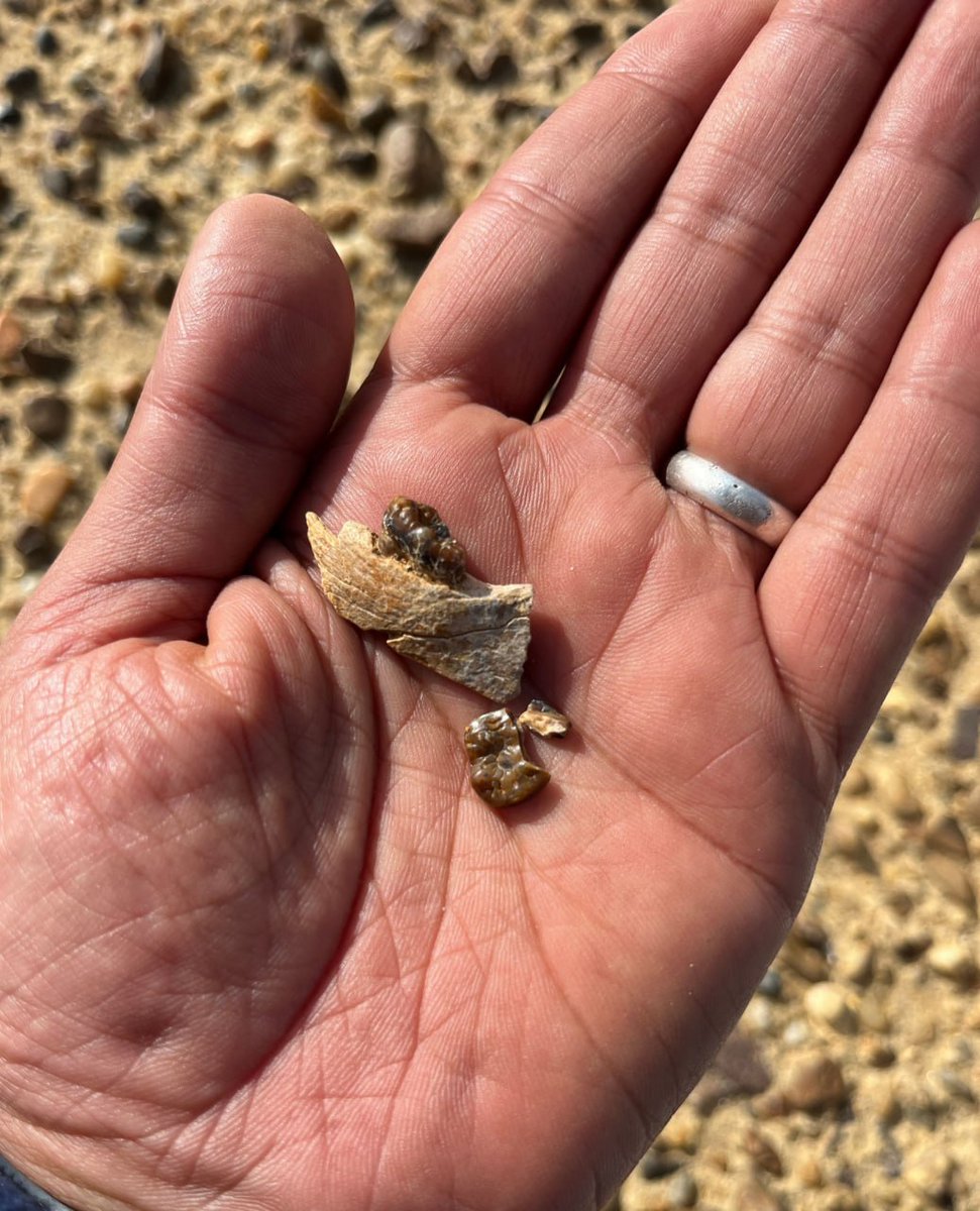 بناء لنقد الإلحاد tweet media