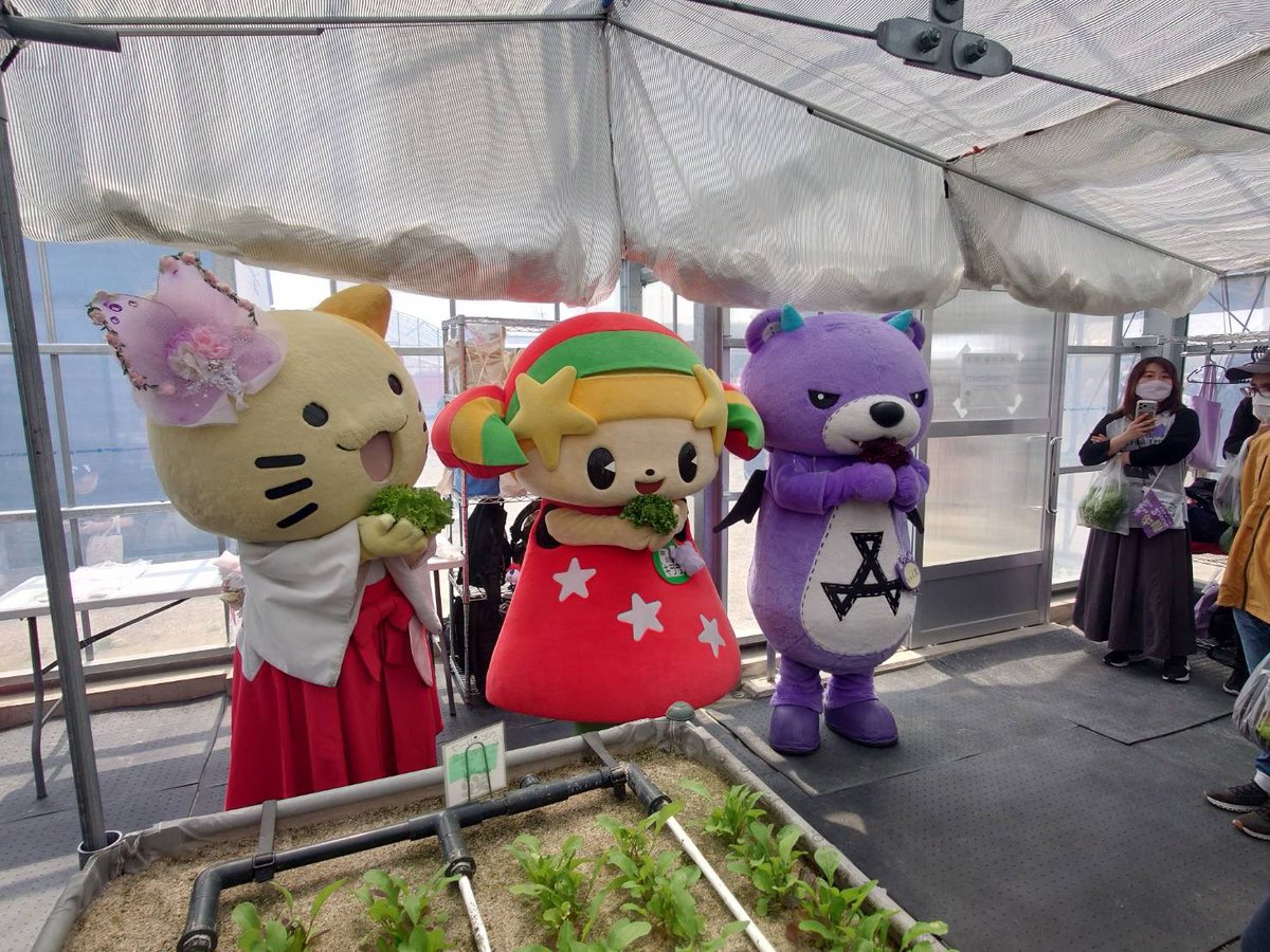 みっけちゃん™️【公式】💙💛🤟🏳️🌈大阪府枚方市PR大使 tweet media