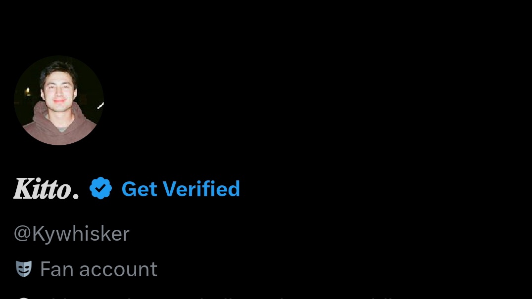 𝑲𝒊𝒕𝒕𝒐. tweet media