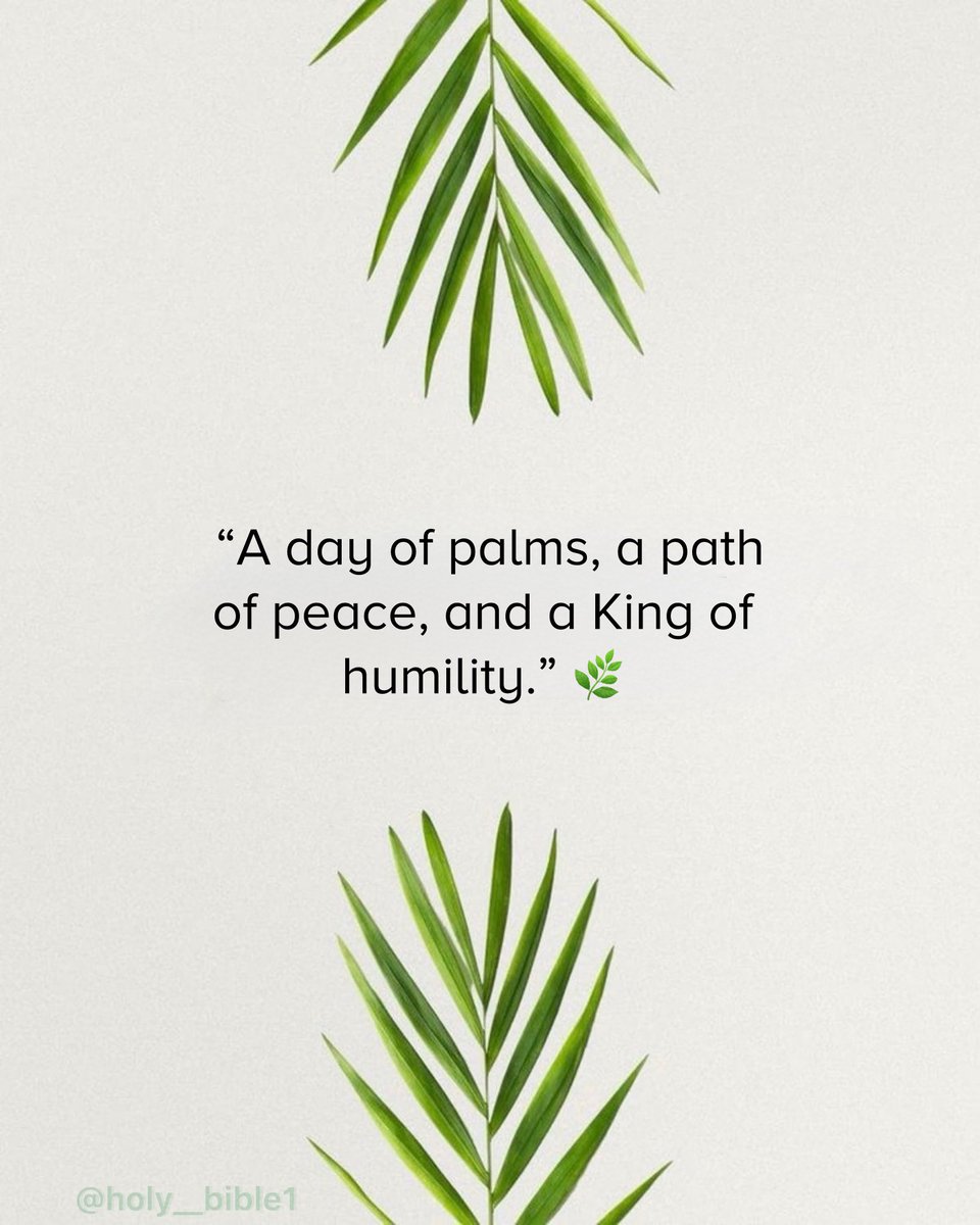 Holy Bible tweet media