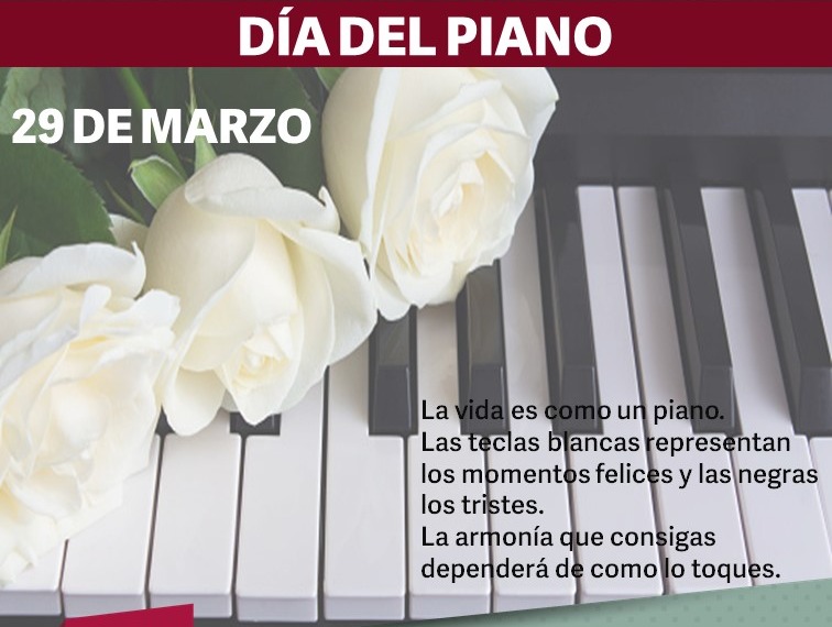 Fernando Soraggi tweet media