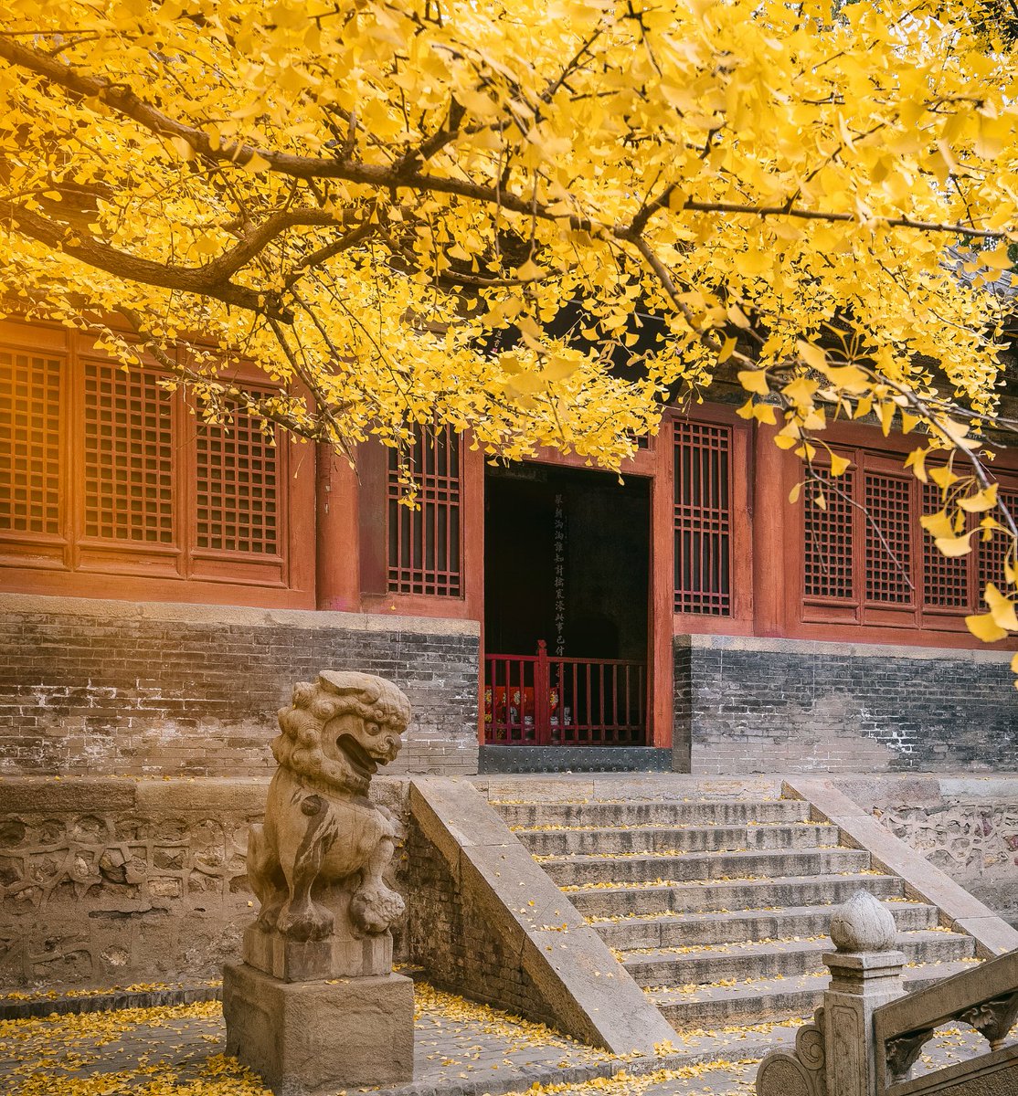 clinton mcdonald tweet media