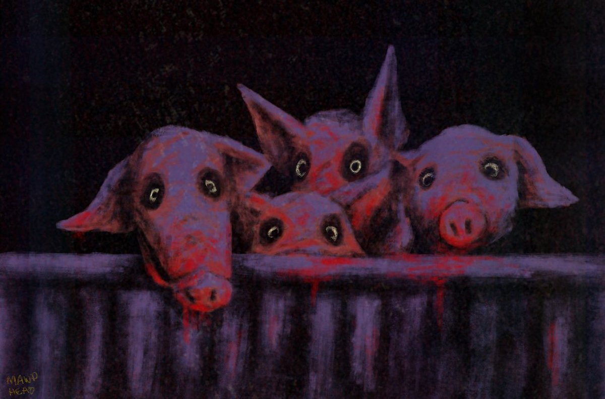 mawp🤡 tweet media