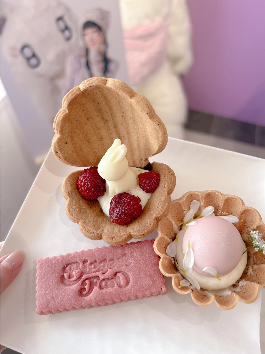 โ ๐๐๐๐๐ tweet media