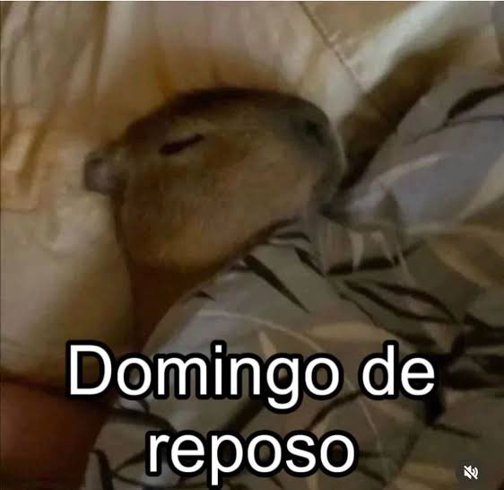 Renan Callegari tweet media