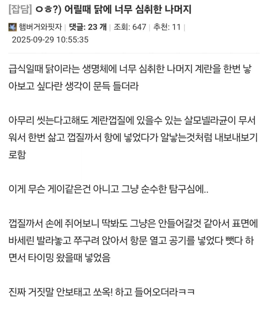 좆같음 tweet media