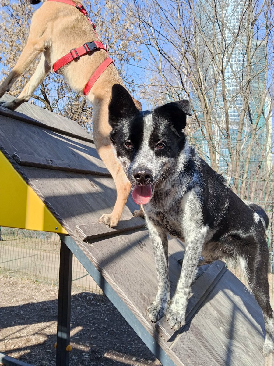 Подвальный этаж tweet media