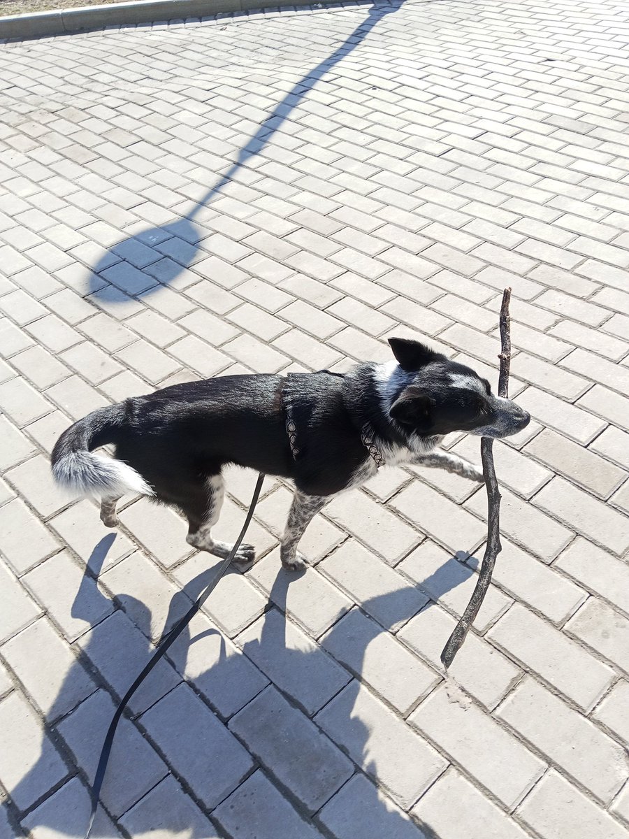 Подвальный этаж tweet media