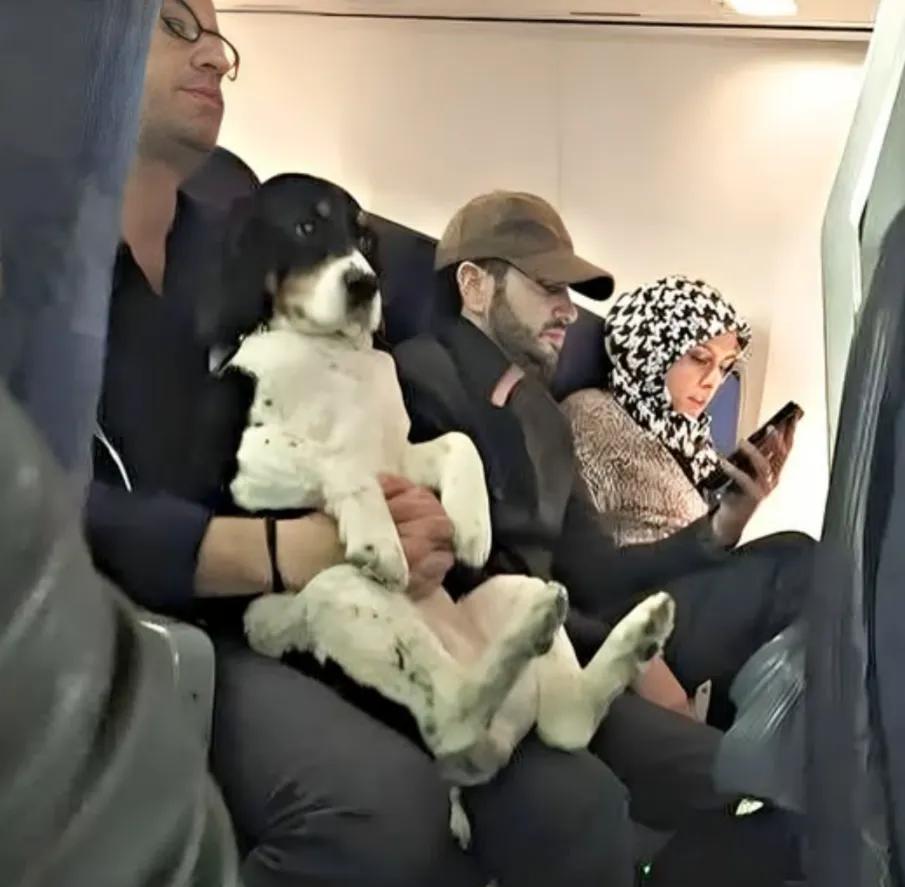 Sara Mary ⭐❤️ tweet media