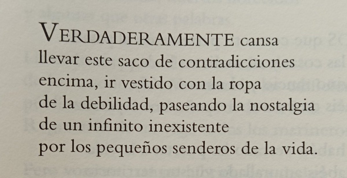 Sonia Salgueiro tweet media