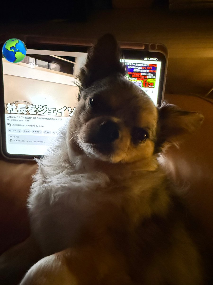 たなまゆ🦌♨️ tweet media