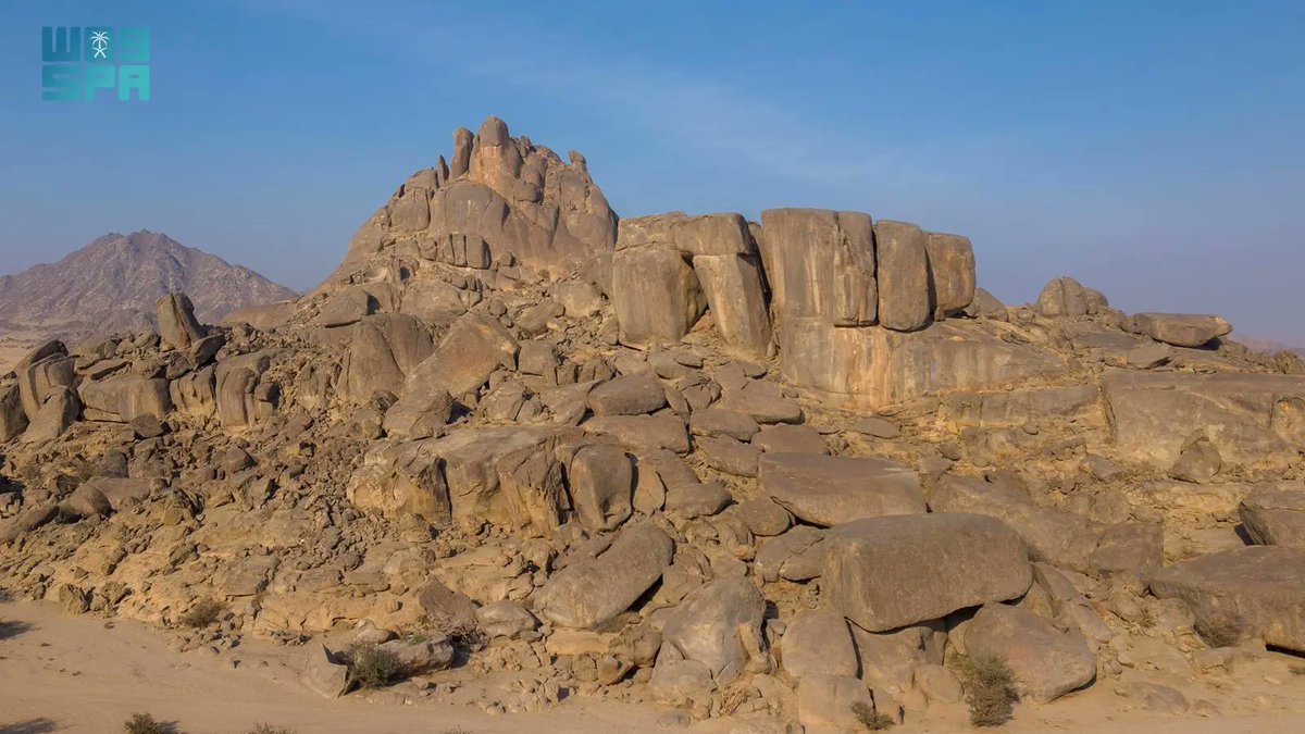 واس جودة الحياة tweet media