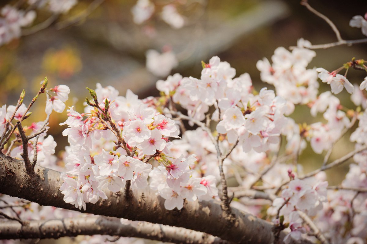 M_つる🌝 tweet media