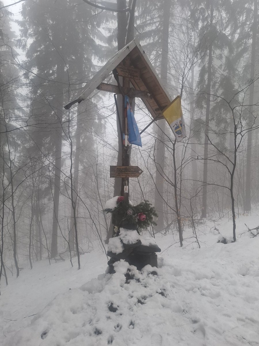 Barbara🌸🇵🇱🌸 tweet media