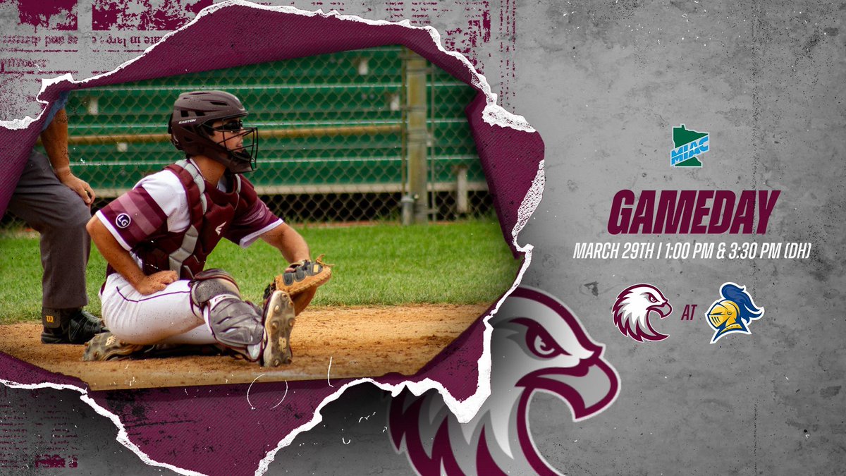 Augsburg Baseball tweet media