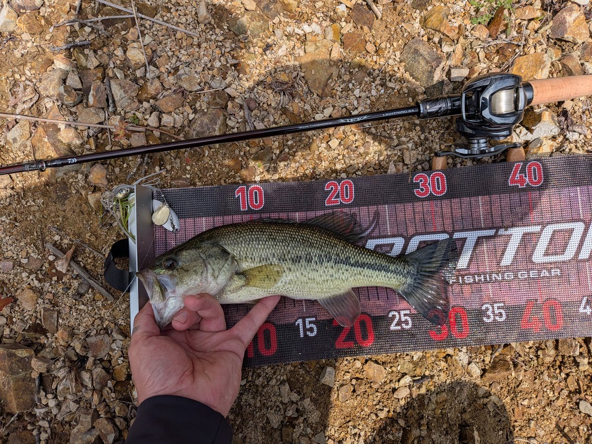 ゆーさん釣り師 tweet media