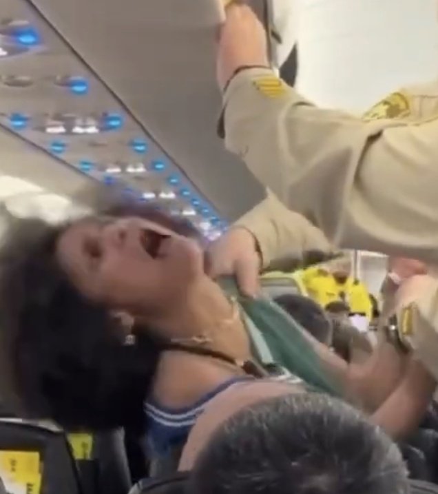 Hillbilly Hullabaloo tweet media