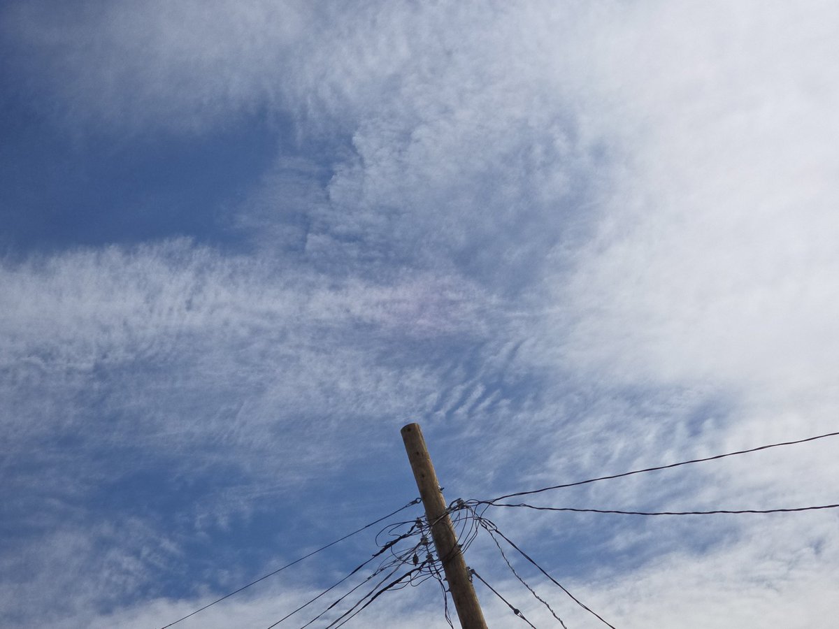 Jesse Lynn♥️ tweet media